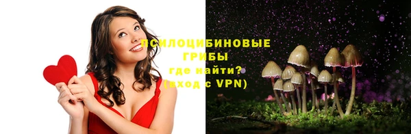 молекула духа Алексин