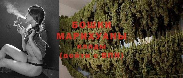 стаф Покачи