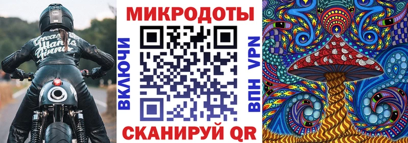 где можно купить наркотик  Арамиль  Галлюциногенные грибы Psilocybine cubensis 